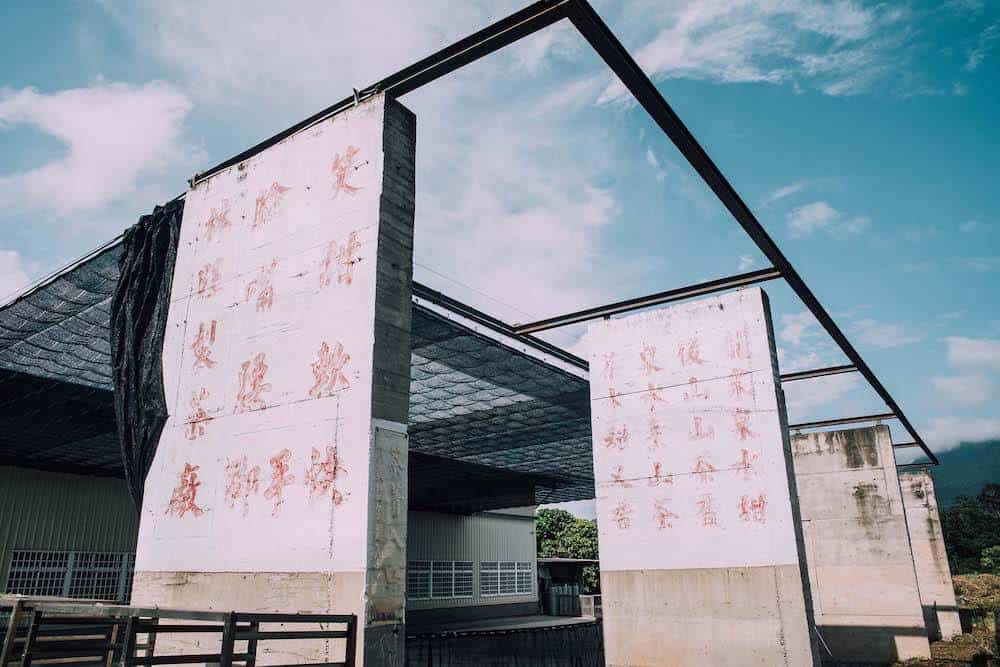 林旺製茶廠風景